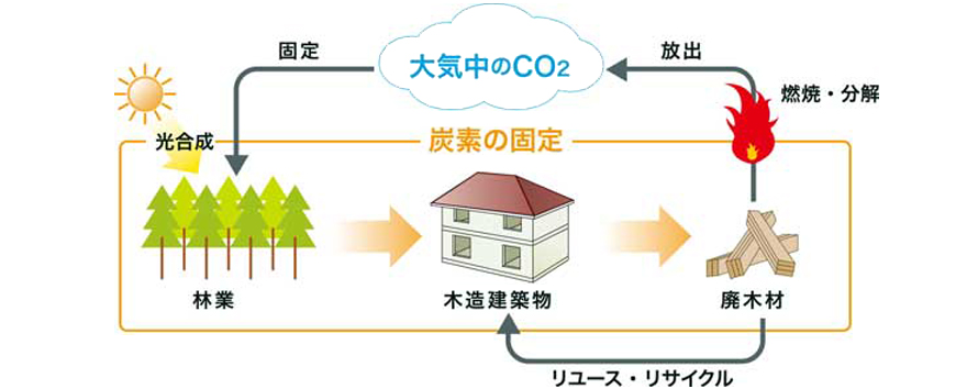 CO2固定のサイクル